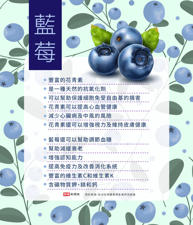 蓝莓(制图/陈友龄)