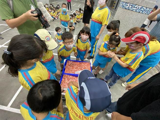 由东港区渔会结合家政班举办的「东港食鱼教育展」，19日安排学童参访樱花虾室内恒温拍卖场，并让孩子们推车模拟拍卖过程，小朋友玩得不亦乐乎。（东港区渔会提供／谢佳潾屏东传真）