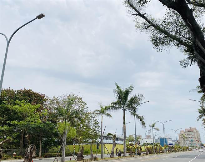 台南上午一度放晴，民眾担心春雨落空，台南市灾防办提醒，中午过后就会有大雨报到。（曹婷婷摄）