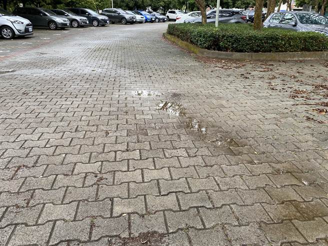 嘉义市今天上午下短暂春雨，雨一停，地表几乎快乾。（廖素慧摄）