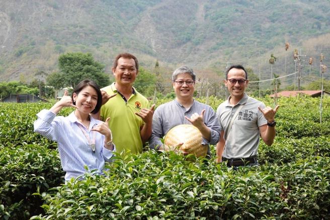 高雄六龟茶农採行自然农法，以天然野放及不喷药施肥的方式打造自然的土地环境。(高雄市农业局提供)
