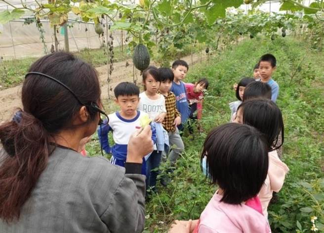 昱禾乐生态有机农场获高市府青创基金补助，主打「种子到餐桌、餐桌到产地」的全龄体验课程，让大小朋友可以实际栽种、採果，也可以结合园内的蔬果进行五感体验。（高市府青年局提供／洪浩轩高雄传真）