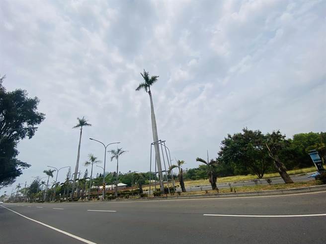 台南一整天的雨势未如预期，雨下不久也不大，各行政区雨量都在10毫米以下。(曹婷婷摄)