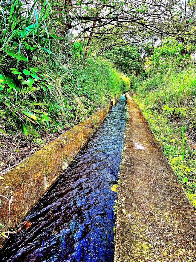 新北捷运公司为扶植在地创生及发展轻轨沿线深度观光，与淡水在地走读品牌「旅学堂」携手合作，共同推出「轻轨觅河-走进沪尾水道秘密花园」活动。(黄敬文翻摄)