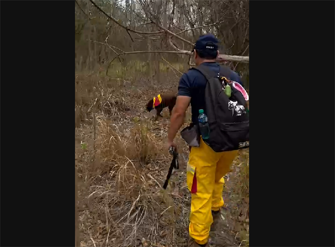 出动搜救犬希望能顺利找到老妇人。（翻摄照片／高雄洪靖宜传真）