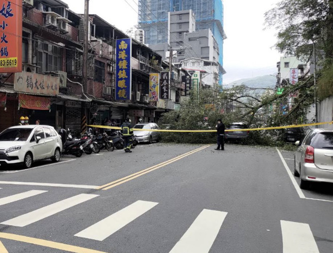 北市路树倒塌！女驾驶遭10公尺高路树惨压，双向封闭。(民眾提供)
