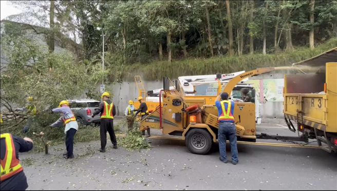 北市路树倒塌！女驾驶遭10公尺高路树惨压，双向封闭。(民眾提供)