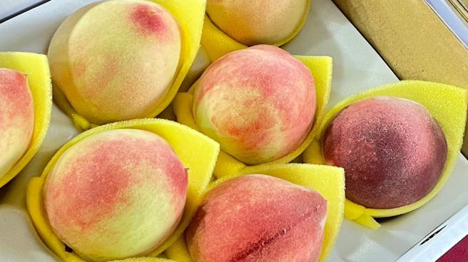 那玛夏区是全国种植水蜜桃最早之地，也是全台湾最早成熟的地方。(高雄市原住民委员会提供)