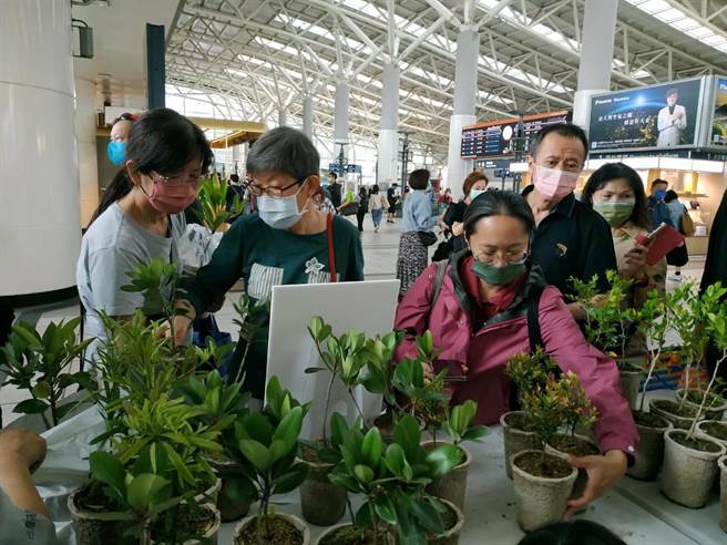 为响应422世界地球日，林务局屏东林区管理处与台湾高铁公司，今日在高铁左营站办理赠苗活动。(林务局屏东林管处提供／林雅惠高雄传真)
