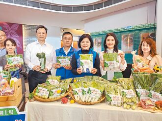 台灣蔬菜節 雲林蔬菜10天直送新加坡