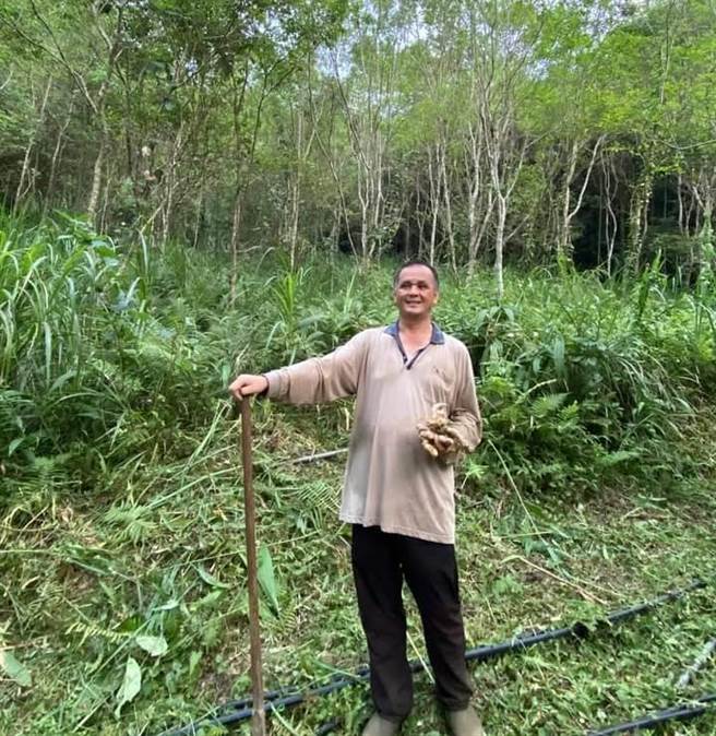 眼看10年造林有成，陈德志认为自己无愧于祖灵。（陈德志提供／邱立雅竹县传真）