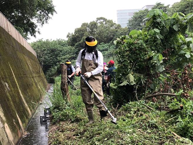 桃园市长张善政穿上青蛙装、背上除草机在水沟旁打扫。（陈梦茹摄）
