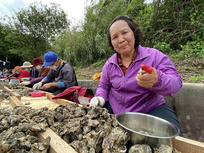 睽违3年后能再参加剥蚵活动，乡亲们踊跃捧场乐开怀。(于家麒摄)