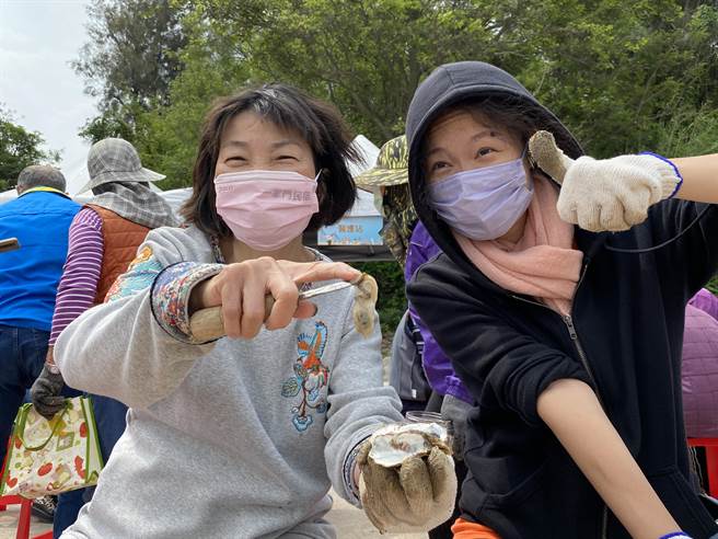 体验民眾剥起一颗颗肥美石蚵时，喜悦之情溢于言表。(于家麒摄)