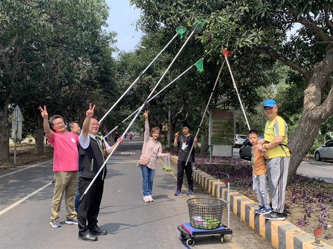 许多人用绑着网子的长竹竿捞摘，体验儿时「摃檨仔」乐趣。（柳营区公所提供／张毓翎台南传真）