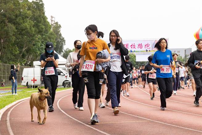 清大校犬「巧巧」是个活动咖，也跑来凑热闹，陪伴同学一起前行。（清大提供／王惠慧新竹传真）