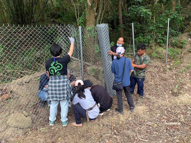 大学生协助架设养鸡围网，重现部落换工传统。(屏科大提供)