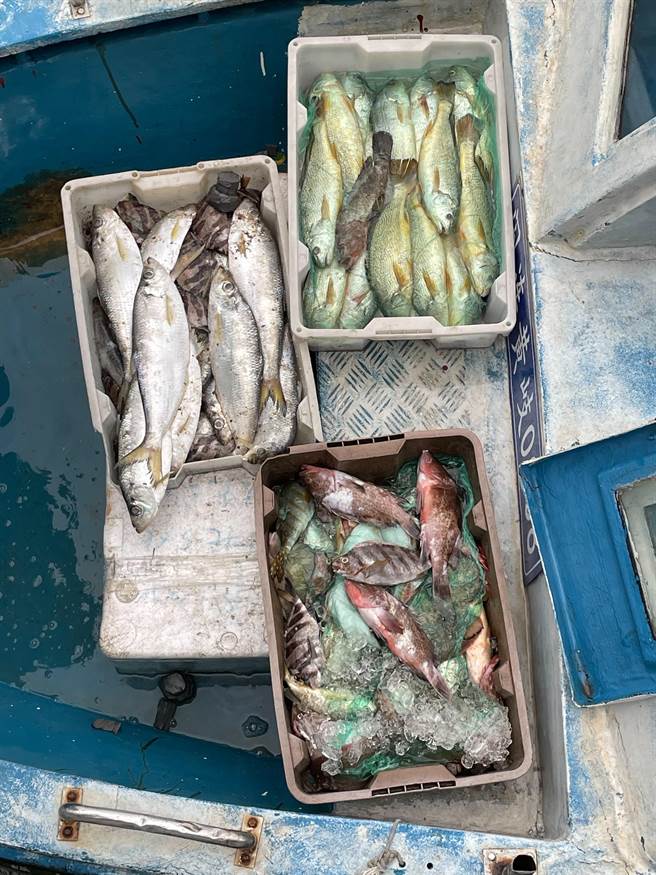 海巡署于南竿海域查获陆籍舢舨疑似涉嫌泊靠我国渔船走私117公斤渔获。（马祖海巡队提供）