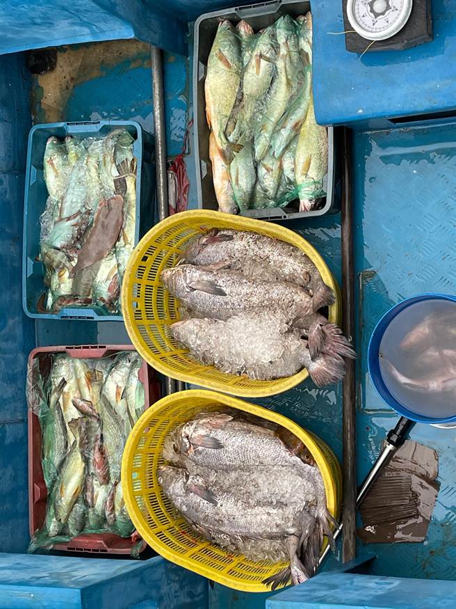 海巡署于南竿海域查获陆籍舢舨疑似涉嫌泊靠我国渔船走私117公斤渔获。（马祖海巡队提供）