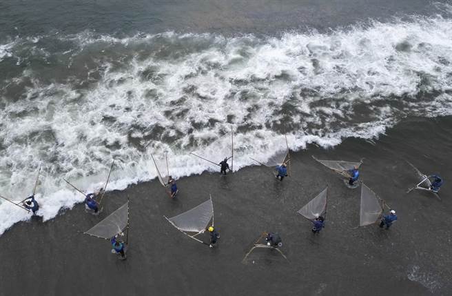 花莲溪口捕捉红头魩仔的民眾在天亮后仍持续在海滩上张网。（黄子明摄）