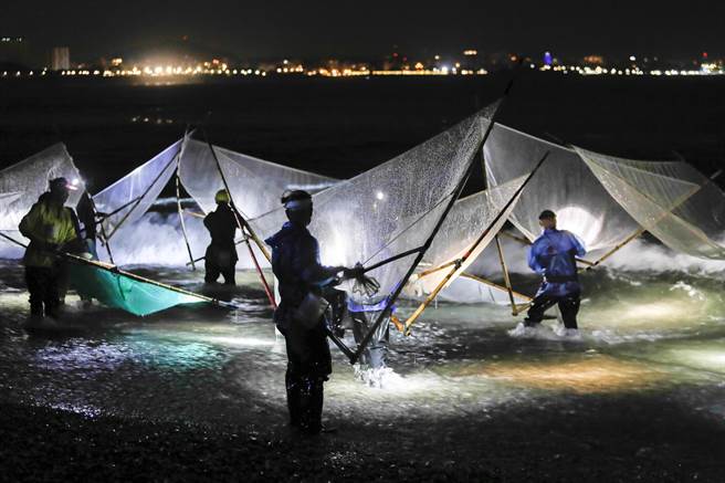 花莲溪口海滩上清晨两点多就聚集大批捕捉红头魩仔的民眾。（黄子明摄）