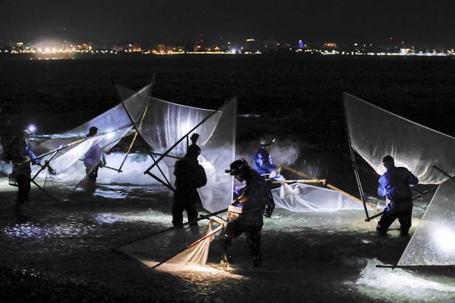 花莲溪口海滩上清晨两点多就聚集大批捕捉红头魩仔的民眾。（黄子明摄）