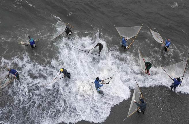 花莲溪口捕捉红头魩仔的民眾在天亮后仍持续在海滩上张网。（黄子明摄）