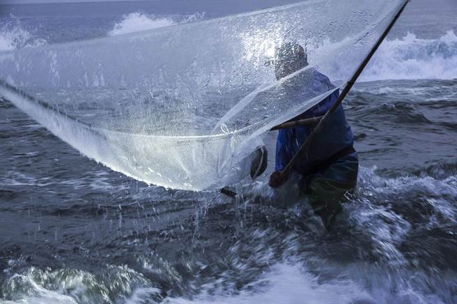 资深捕鱼苗人凌晨在花莲溪口捞红金，身手非常矫健。（黄子明摄）