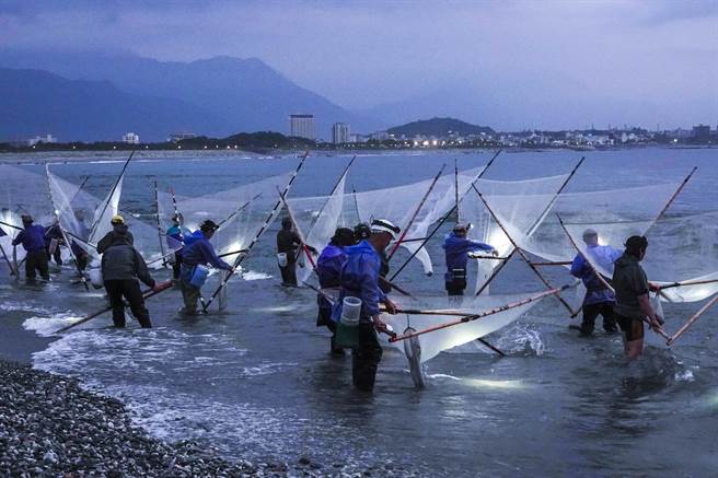 花莲溪口因地形开阔，加上交通便利，每年都吸引许多捕鱼苗人捞红金。（黄子明摄）