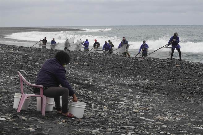 宜兰南澳神秘沙滩海边也有许多捕捉红头魩仔的民眾，有人全家出动到场协助处理仔鱼。（黄子明摄）