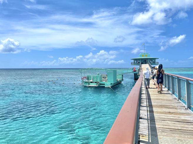 长长的木桥通往鱼眼海洋公园展望台。（何书青摄）