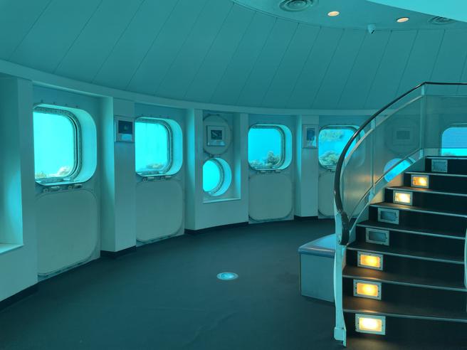 约10公尺深的鱼眼公园海底展望台四面八方都有窗户可看海底世界。（何书青摄）