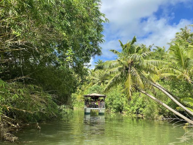 丛林探险游船所经之处郁郁葱葱，既神秘又迷人。（何书青摄）
