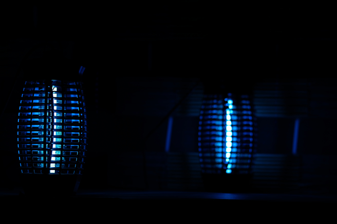 一位網友用捕蚊燈3天抓了超過200隻蚊子。（示意圖／shutterstock）