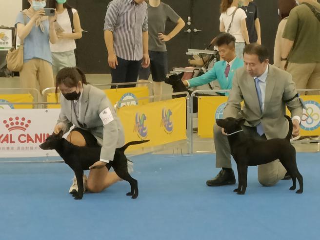 首次在高雄举行的宠物嘉年华，以免费开放民眾入场的方式，希望让全台、甚至全球看到高雄市对于友善动物的用心及成果。（高雄市农业局提供）