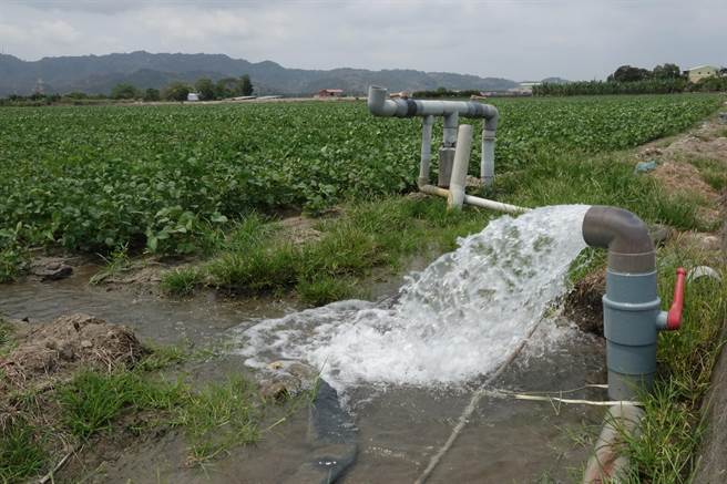 屏东里港大规模种植的毛豆田灌溉主要靠抽取地下水。（黄子明摄）