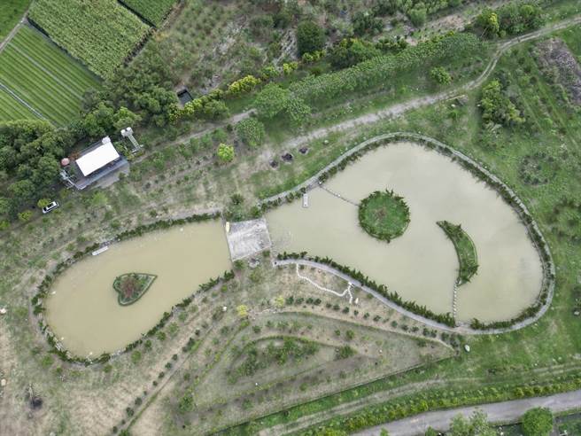 埔里福星温泉附近农地出现脚ㄚ形水潭，大潭中有日、月造型小岛，另一潭则有爱心造型小岛，象徵日月潭、台湾之心。（潘樵提供／杨静茹南投传真）