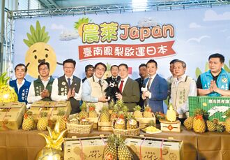 台南 78公噸金鑽鳳梨 陸續上架日本永旺超市
