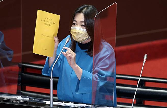 国民党立委马文君。（本报资料照片）