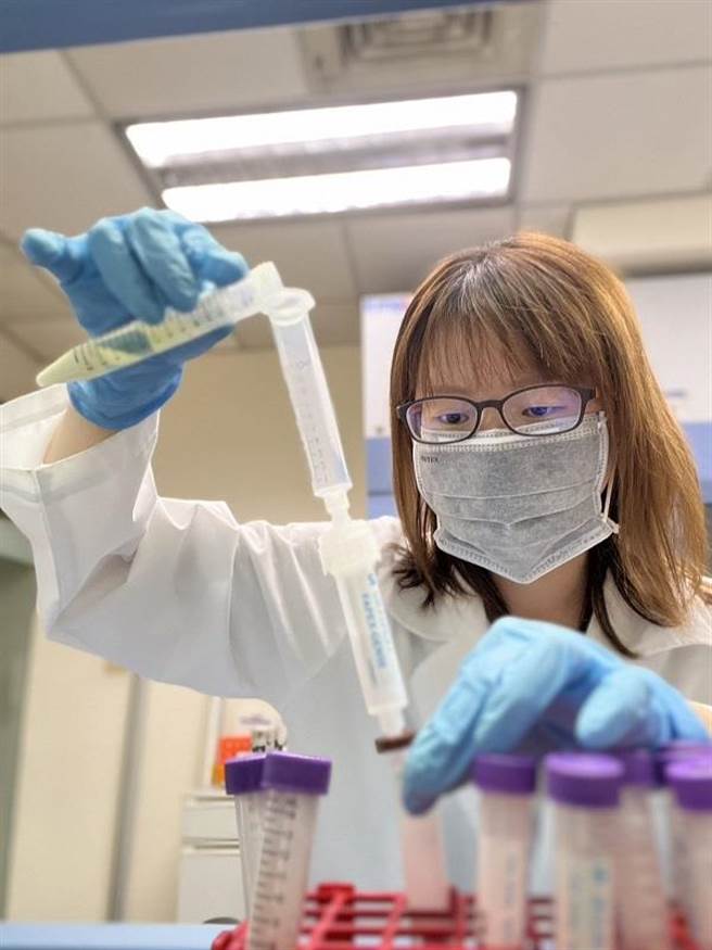 进入凤梨盛产期，屏县检验中心祭出检验费用补助专案。(屏县府提供)