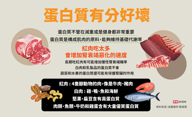 蛋白质有分好坏(制图/陈友龄)