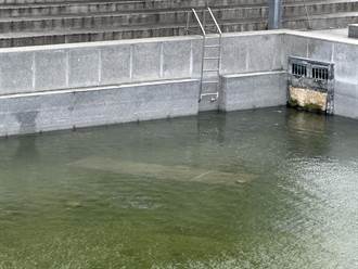 台東湧泉公園泳池水位低 公所規畫轉型做這個