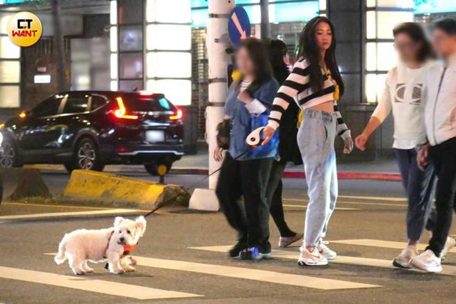 聊了好一会之后林采缇带着狗狗要回家，但不知道是东山鸭头太香，还是太喜欢晨泓军，狗狗频频回头不肯离开。（图／本刊摄影组）