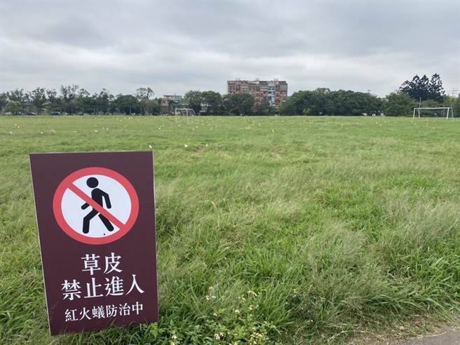 桃园龙冈大操场2000处红火蚁丘，军方立告示牌旗帜吁民眾勿靠近。(吕筱蝉摄)