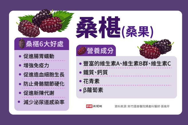 桑椹(制图/陈友龄)