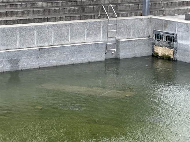 台东市涌泉公园泳池水源为地下水，近年水位低。（蔡旻妤摄）