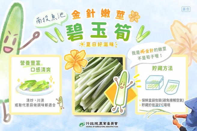 农委会指出，碧玉笋是金针的嫩茎，料理方式为清炒、川烫。（图／取自农委会网站）