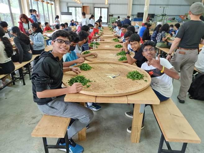 新加坡110名师生到南投县日月潭参观茶园，体验制作红茶并品嚐红茶。（南投县政府提供／杨静茹南投传真）