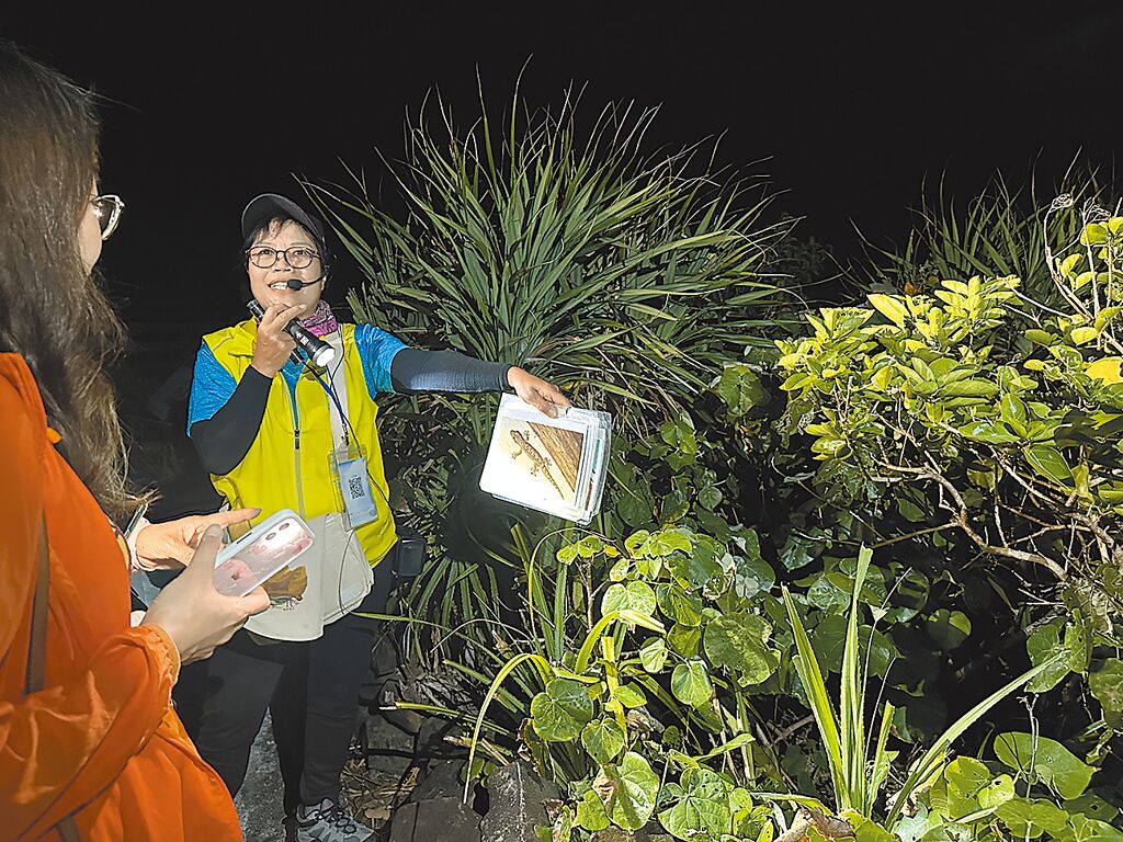 小野柳生態解說員王美雪拿著鱗趾虎的照片，要遊客仔細找找鱗趾虎藏在哪裡。（蔡旻妤攝）