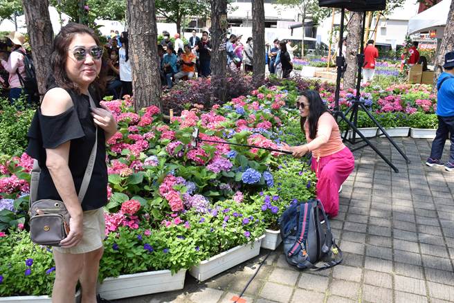 2023南庄花卉节28日上午开幕，许多游客已经到场尝鲜。（谢明俊摄）